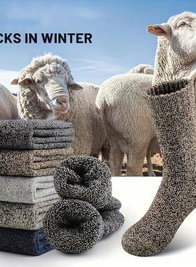 C 49678 Warm Winter Men's Socks 士保暖毛圈袜