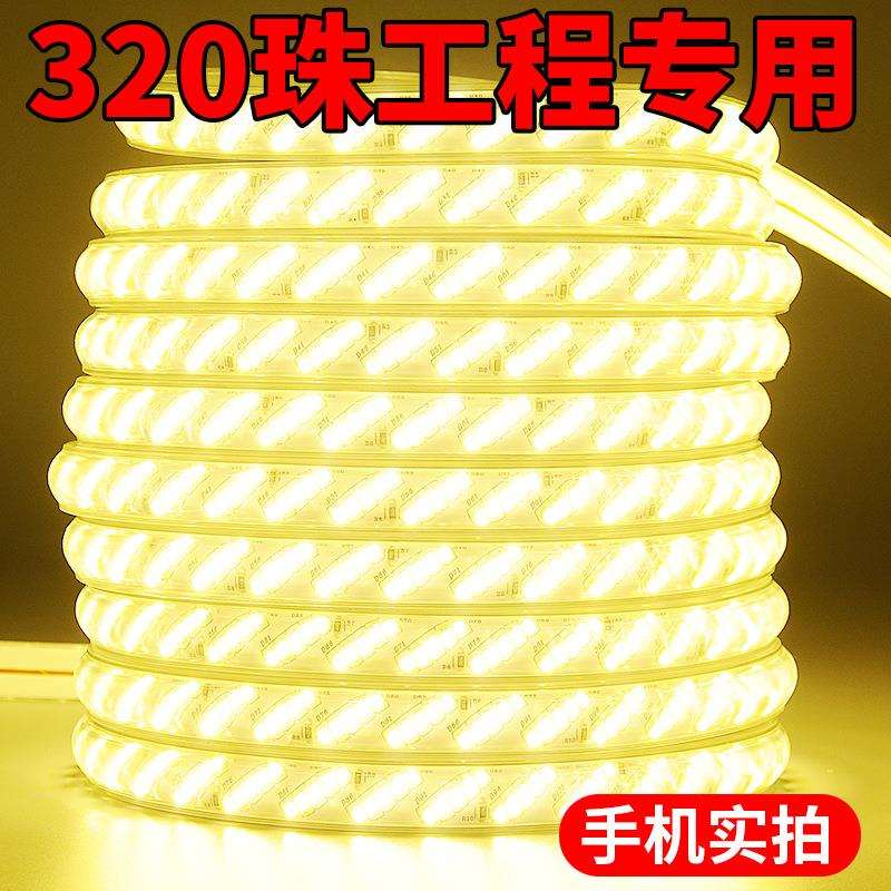 户外led防水灯带220v工程外墙低压24v超亮养殖工地照明塔吊灯带条图片