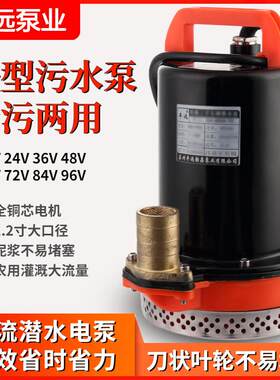 丰远水泵12v24v36v48v60伏直流电瓶车小型污水抽粪泥浆泵农用灌溉