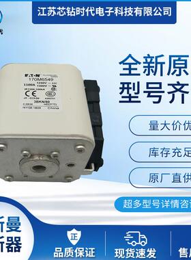 170M6541 170M6542 170M6543 巴斯曼BUSSMANN熔断器保险丝
