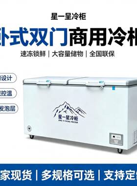 商用大容量卧式冰柜冷藏冷冻铜管速冻冰箱双温雪柜冷柜摆摊商用