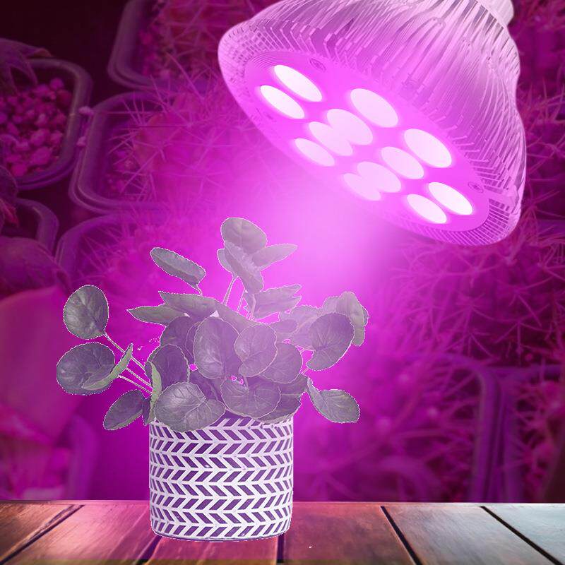 E27螺口LED育苗多肉植物par38灯12W18w补光上色红蓝全光谱生长灯