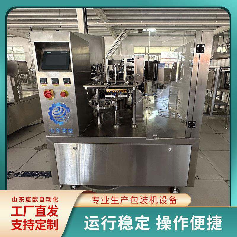 包装设备青桔柠檬片给袋式包装机果干蜜饯全自动给袋式包装机