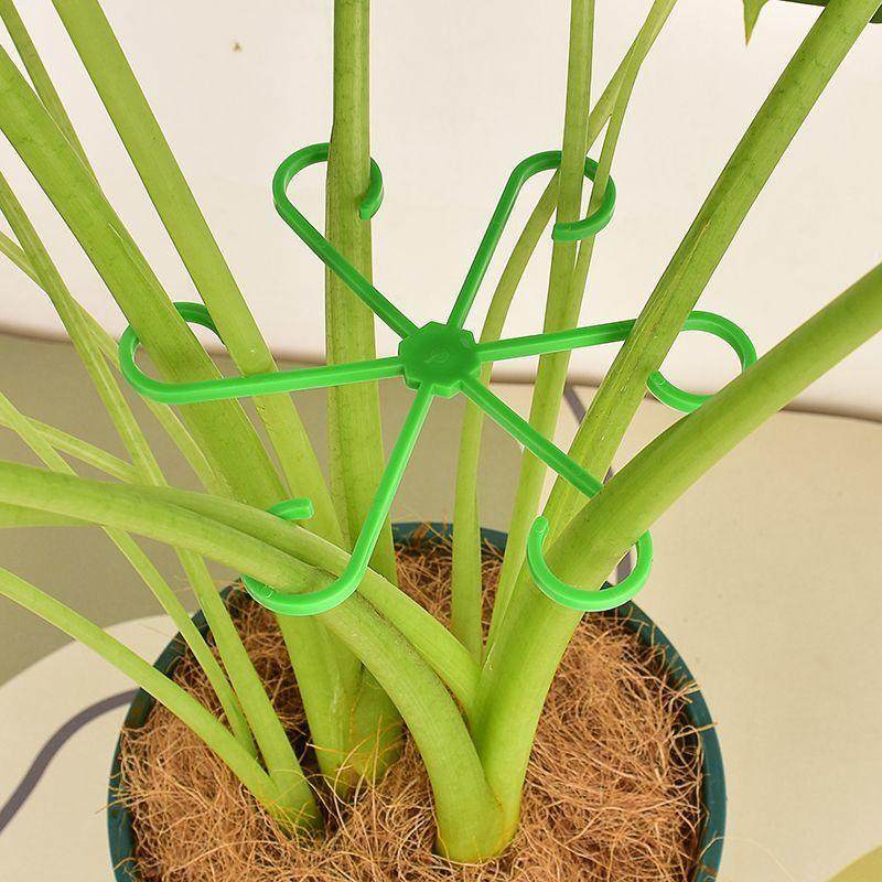 龟背支撑支撑枝干园艺用品套装