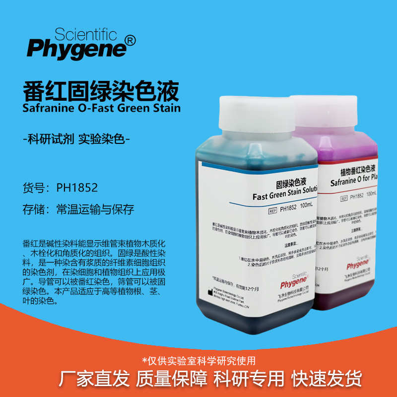 番红固绿染色液 植物标本染色 2×100mL 科研实验试剂 PHYGENE