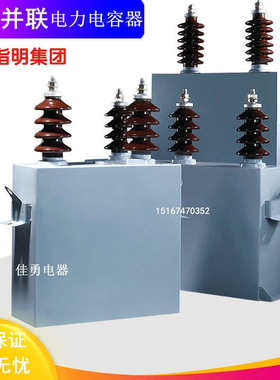 指明集团BAM/BFM6.6/11/12√3-300/400-1/3W 高压并联电力电容器