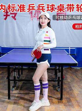 可移动乒乓球桌家用乒乓球桌可折叠移动乒乓球台单人比赛乒乓球台