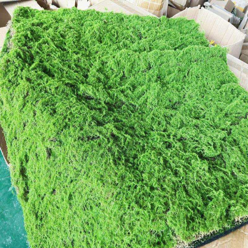 曲丝仿真植物绿植墙苔藓青苔地毯草坪景观园林铺设门头长廊文化