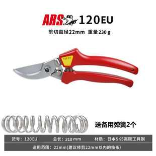 爱丽丝树枝剪修枝剪刀日本剪ars果树爱丽斯修剪 剪枝园林园艺进口