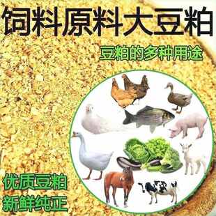 新鲜膨化鹅牛羊马50价鸡鸭豆粕兽用猪用豆粕喂斤豆粕厂家直销