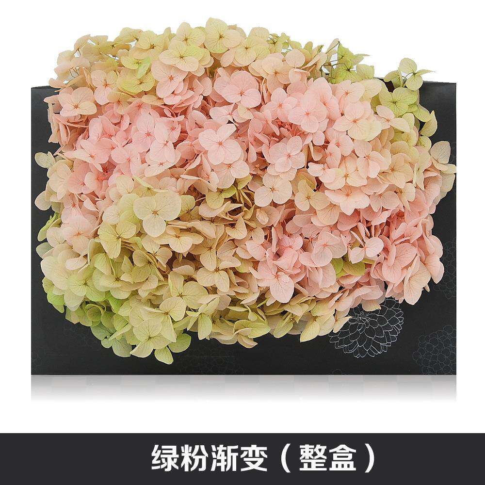 彩色安娜小叶绣球永生花花材香薰蜡烛浮游花制作材料保鲜花绣球