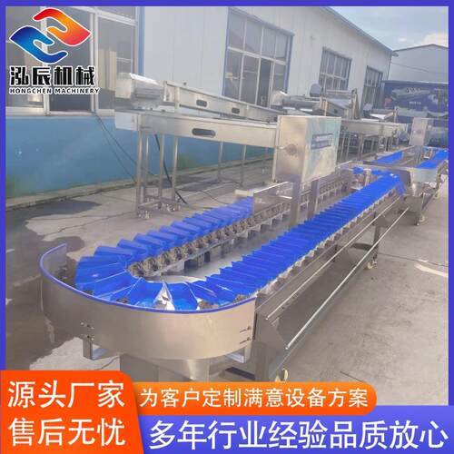 全自动鱿鱼分选机设备 翅中重量分选机设备 鸡腿称重机设备