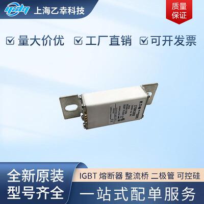 巴斯曼熔断器 170M1807 170M1808 170M1809 170M1810 170M1811