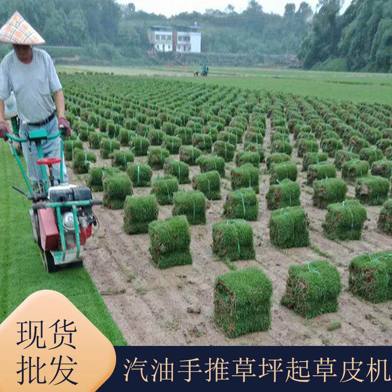 工厂手推汽油动力老草皮铲草机草坪起草皮机 起草皮割草机