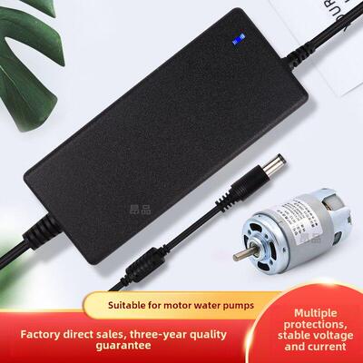 电机水泵真空吸尘器电机电源线适配器12V2A3A4A5A6A8A10A24V充电