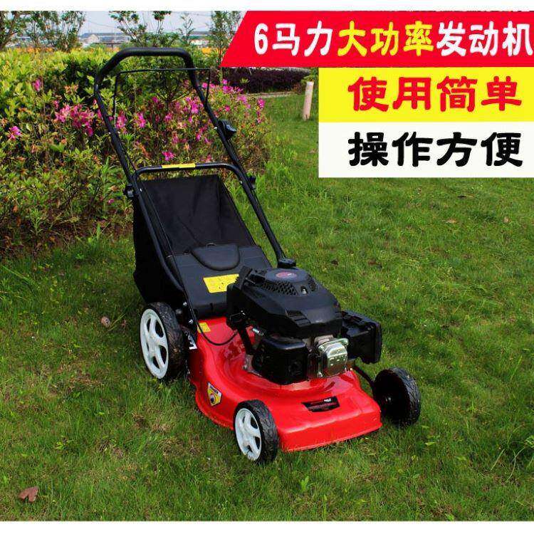 推车式割草机汽油动力6hp草坪修剪机手推式自动式四冲程除草机