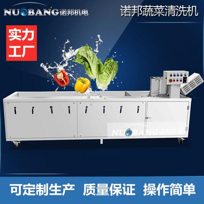 多功能超声波臭氧清机 西梅果蔬喷淋清洗机 白玉樱桃清洗设备