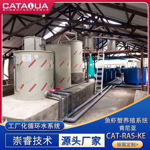 肯尼亚鱼虾蟹循环水养殖系统室内工厂化循环水水产养殖设备