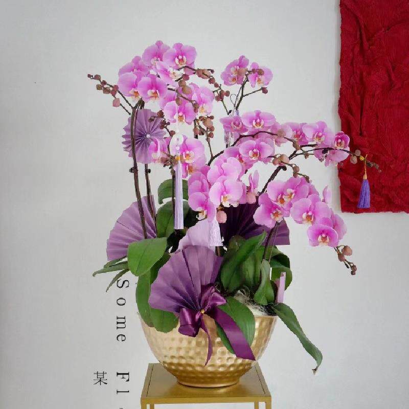 蝴蝶兰盆铁艺宽口大花盆兰花盆新年插花器园艺容器摆件耐腐蚀花盆
