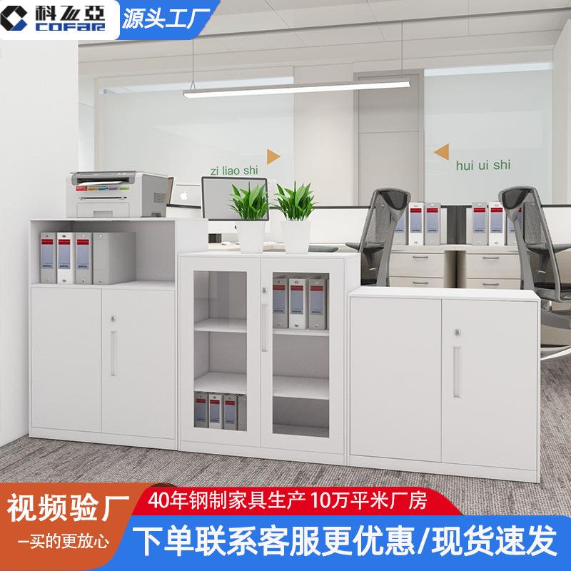 文件柜铁皮玻璃柜档案柜财务凭证柜带锁矮柜钢制储物柜子