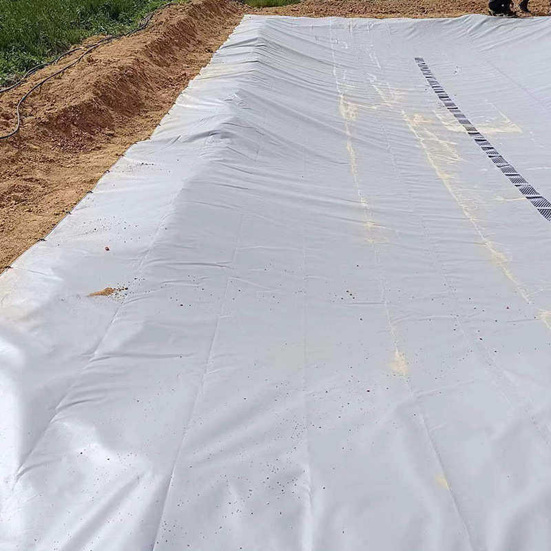 集雨水窖干旱地区山区雨水收集水池 可折叠地埋式软体PVC储水袋