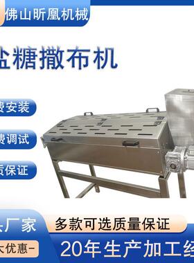 自动盐糖撒布机饼干糕点均匀涂布调料机调味生产线配套
