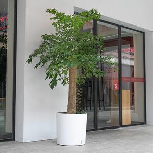 宜植堂简约特大号圆形懒人自吸水花盆落地发财树幸福树种植大花盆
