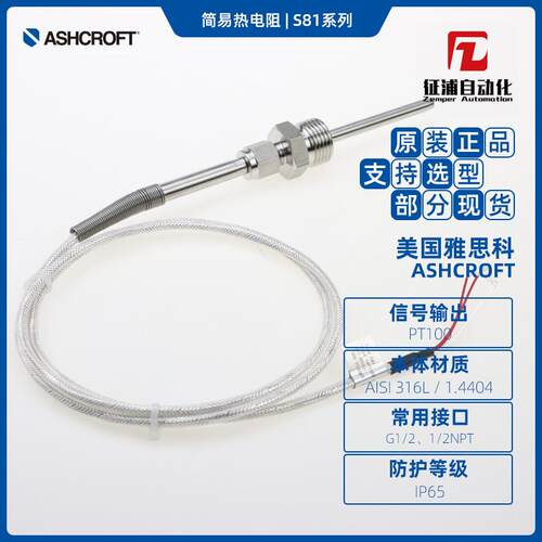 ASHCROFT雅斯科温度铠装热电阻S81精度CLASS A/B输出PT100单/双支