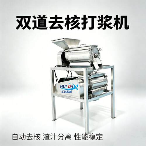 大樱珠打浆机商用车厘子打浆机大型沙棘打浆机