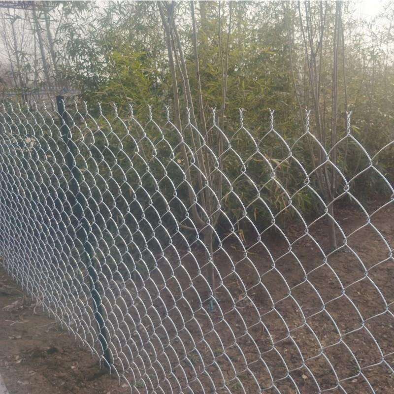 菱形镀锌钢丝网护栏河道围网果园种植围栏圈地圈山养殖边坡勾花网