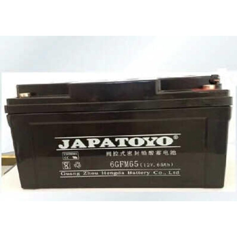 东洋蓄电池6GFM65/12V65AH免维护太阳能消防系统EPSUPS直流屏专用