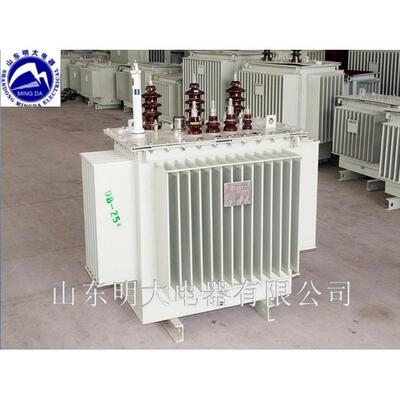 800KVA三相油浸式变压器噪音小S13-800KVA电力系统用户外变压器