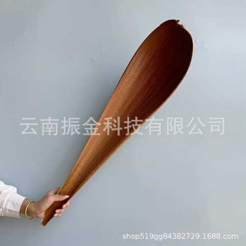 干花60叶饰品植物可可超级厘米-样板房天然80道具大号叶子工作室