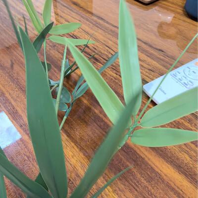 标准全注塑竹叶注塑机 用标准机TC-550-P 家装商用美观植物装修