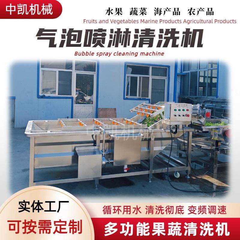 净菜加工气泡清洗机红枣辣椒果蔬气泡清洗机高压喷淋果蔬清洗设备