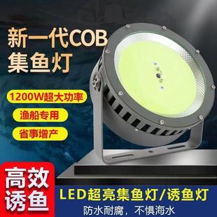 户外防水船用诱鱼聚鱼集鱼灯220V筏钓海钓引鱼捕鱼青光夜钓灯