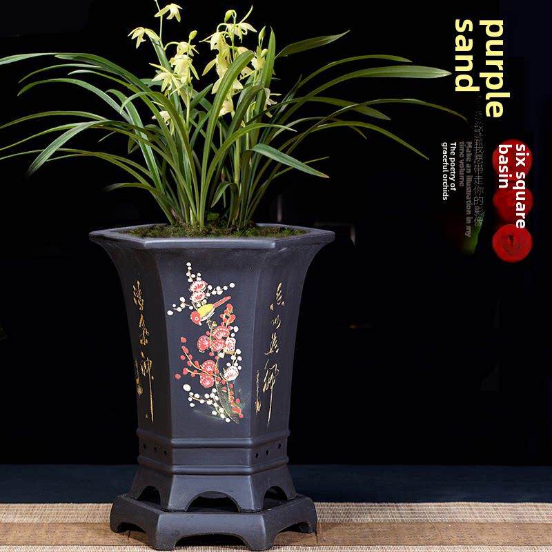 紫砂花盆,优质兰盆,建兰盆,墨兰盆,Clivia盆,高兰盆,陶瓷兰