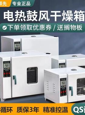 广东电热恒温鼓风干燥箱烘箱工业烤箱实验室高温烘干箱恒温电烤箱