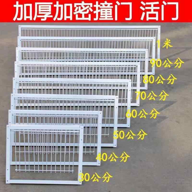 鸽子用品用具鸽子活络门撞门信鸽赛鸽用品加厚加密回笼门鸽具碰门