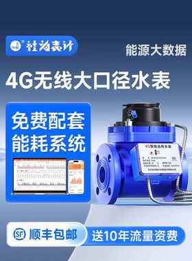 社为智能大口径水表商用4G远传法兰国标防冻水表DN50/100干式可选