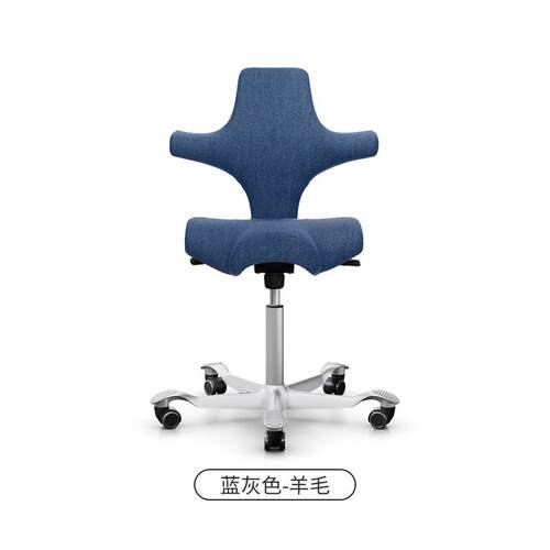 新款HAG Capisco工骑马椅真皮老板人包体学电脑办公椅护腰椅羊毛