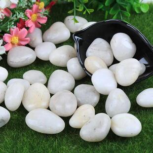 江苏雪花白鹅卵石机制白色雨花石水磨枯山水造景园林铺路鹅软石