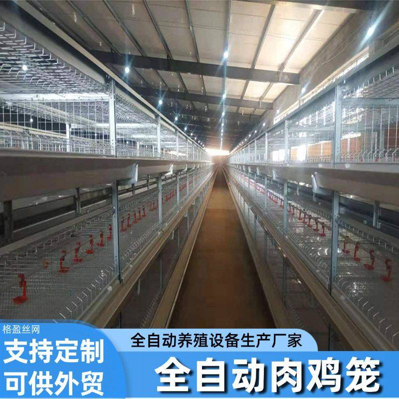框架肉鸡笼全自动化养鸡设备自动喂料清粪三层四层框架式肉鸡笼
