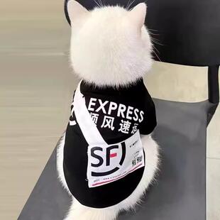 猫咪衣服搞笑装快递外卖服可爱英短布偶银渐层幼猫宠物狗狗秋冬季