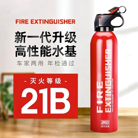 车载灭火器水基耐高温21b防冻私家车用便携年检消防器材固定安全