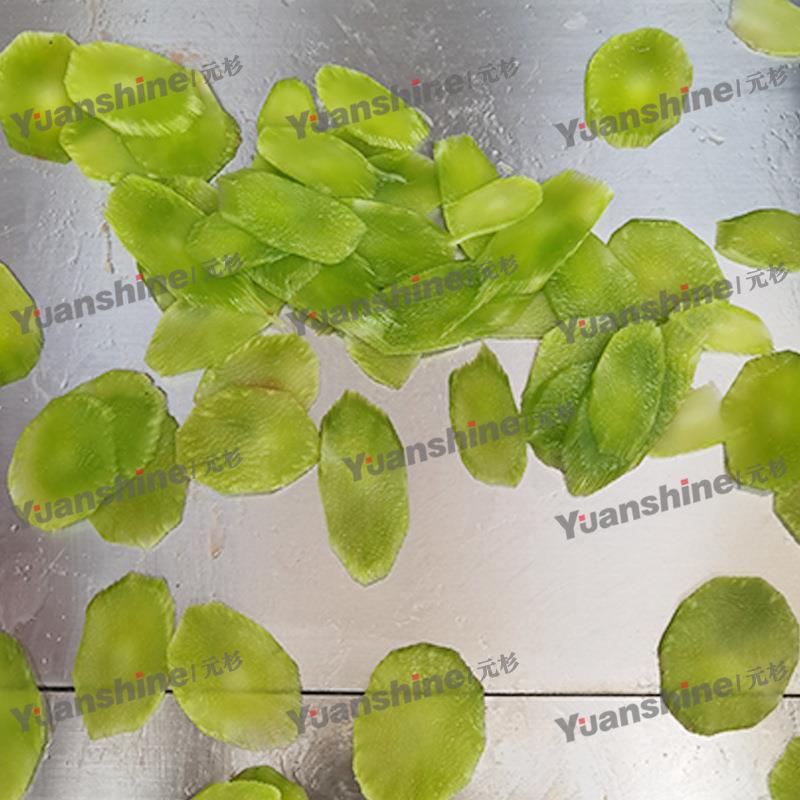 元杉销售胡柚切片机不锈钢杨桃香柚切片设备全自动蔬菜切割机