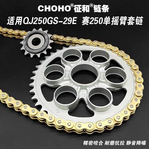 适用钱江赛250 QJ250GS-29E单摇臂大小牙盘链盘链轮征和油封链条