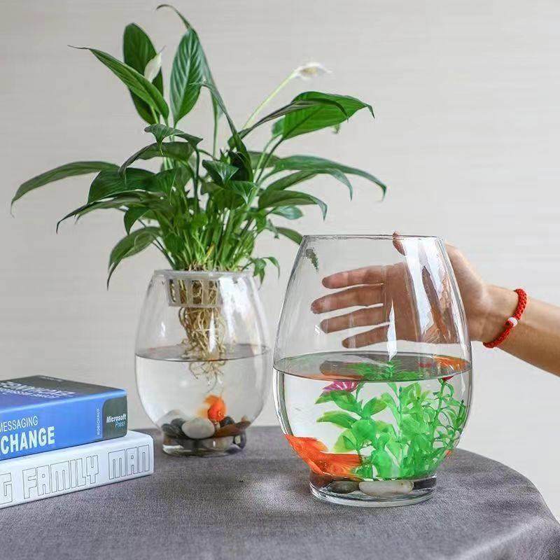 创意简约透明玻璃花瓶水培绿萝植物鲜花插花瓶客厅摆件器皿鱼缸,宠物/宠物食品及用品,桌面缸,淘宝优惠券,粉丝福利购,淘宝优惠卷