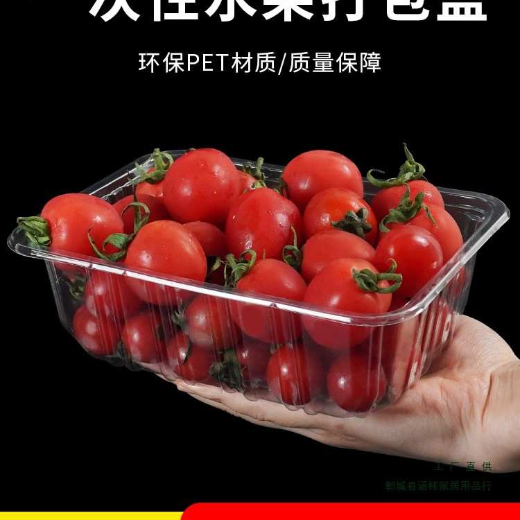 一次性水果托盘无盖PET塑料西瓜草莓菠萝蜜果切保鲜包装打包盒