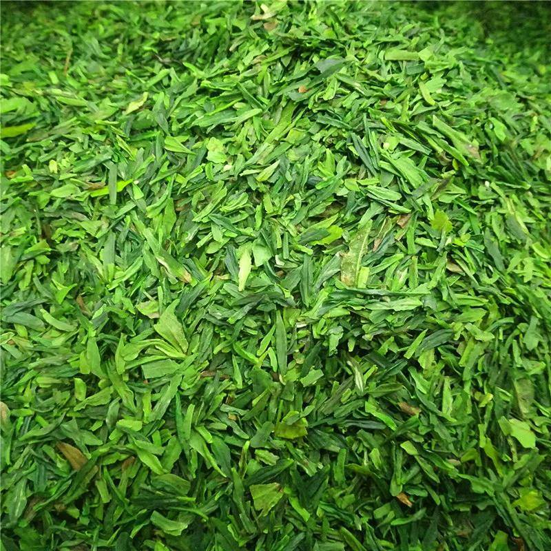500克装2025新茶明前川品雀舌茶片碎茶叶口粮茶碎片碎茶包邮